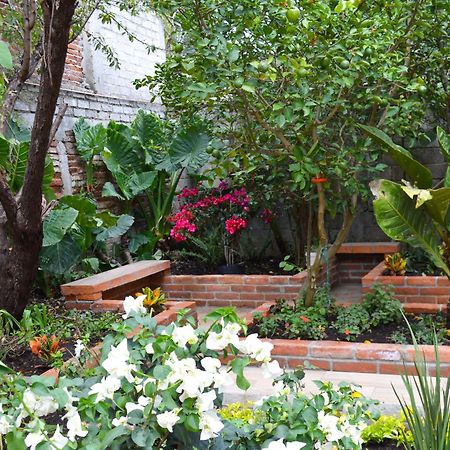 Capital O Casa Rotter Hotel San Cristobal de las Casas Exterior photo